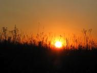 Узин з panoramio.com