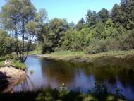 Ромни з panoramio.com