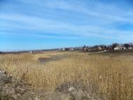 Широке з panoramio.com