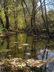 Сергіївка з panoramio.com