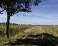 Петрівка Перша з panoramio.com