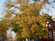 Марганець з panoramio.com