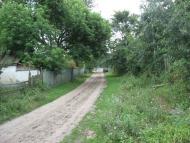 Kukshyn - Latest photos