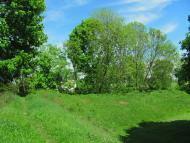 Сокіл з panoramio.com