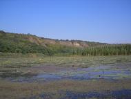 Вільховатка з panoramio.com