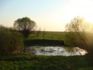 Переяслівка з panoramio.com