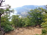 Запрудне з panoramio.com