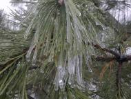 Кременівка з panoramio.com