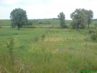 Черкаська Лозова з panoramio.com