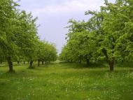 Тристень з panoramio.com