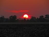 Жайворонки з panoramio.com