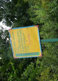 Миколаївка - Останні фото