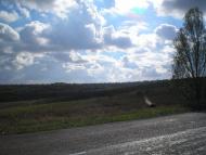 Сергіївка з panoramio.com