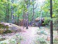 Шебедиха - Останні фото