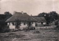 Пшеничники - Останні фото