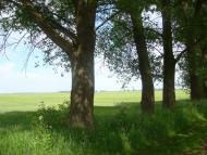 Переяслівка з panoramio.com