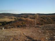 Некрасовка з panoramio.com