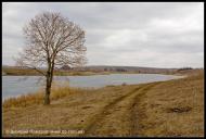 Токарівка з panoramio.com