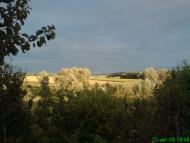 Черкаська Лозова з panoramio.com