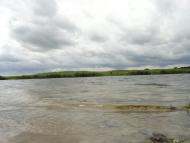 Сокіл з panoramio.com