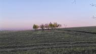 Новосілка з panoramio.com