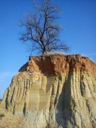 Дмитрівка з panoramio.com