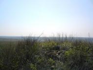 Верхнешевыревка - Последние фото