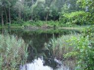 Рудня з panoramio.com