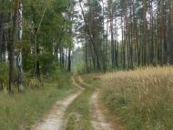 Кумейки з panoramio.com