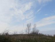 пронозівка