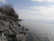 пронозівка