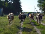 Колюхів та люди