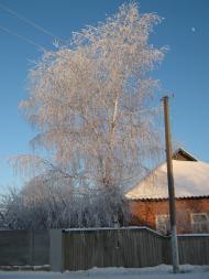 Червоне - Останні фото