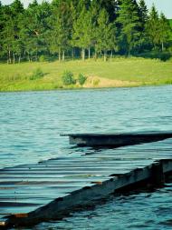 Мушкатівка - Останні фото