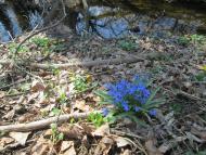 А у нас весна