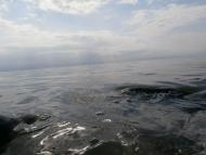 пронозівка