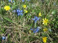 А у нас весна