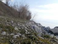 пронозівка