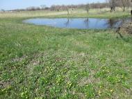 А у нас весна