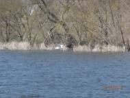 Молодецьке - Останні фото