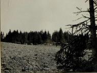 Перша світова війна