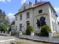 Музей гетьмана І.Виговського