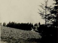 Перша світова війна