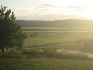 Червоне з panoramio.com