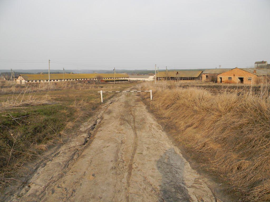 Бірки з panoramio.com - Бирки