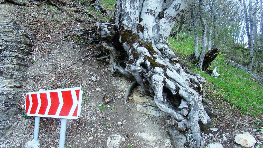 Високогірне з panoramio.com - Высокогорное