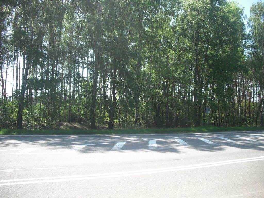 Майорівка з panoramio.com - Майорівка