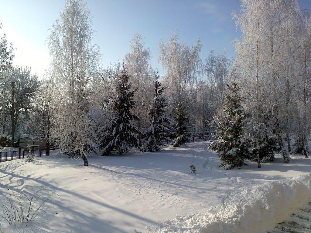 Шебутинці з panoramio.com - Шебутинцы