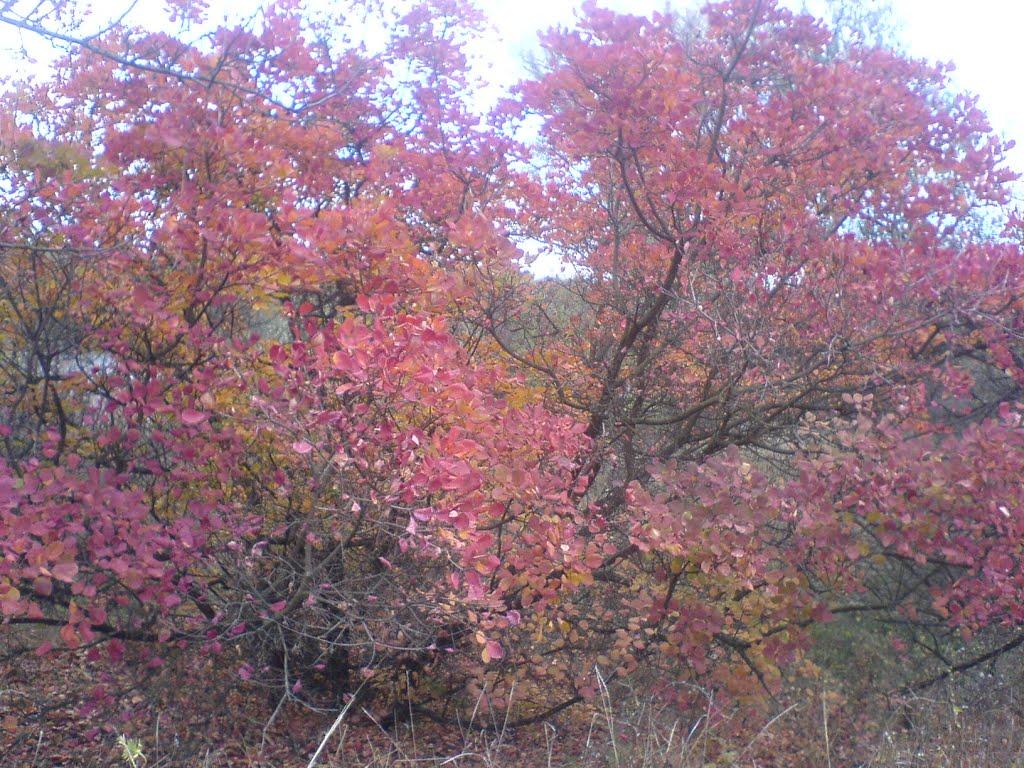 Жовті Води з panoramio.com - Жовті Води