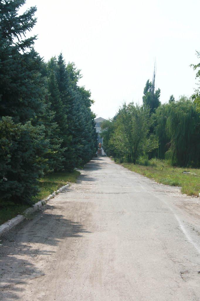 Сіверськ з panoramio.com - Северск